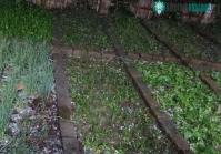 Ảnh Ngày 24/4, mưa đá phủ trắng một vùng rộng lớn ở 3 tỉnh Tây Bắc