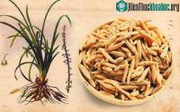 Ảnh Việt Nam có một loại củ khi phơi khô được xem như "thuốc trường thọ"