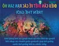 Ảnh Điều cần biết về những rạn san hô trên thế giới