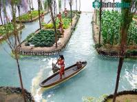 Ảnh Phương pháp canh tác cổ xưa mở ra tiềm năng trồng trọt ở trên sao Hỏa