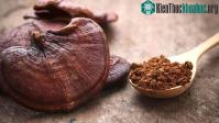 Ảnh Việt Nam có 1 loại “nấm trường thọ” thành phần chứa hơn 400 dưỡng chất quý giá