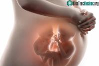 Ảnh Cứ làm IVF là được thai đôi và có thể chọn được giới tính thai nhi?