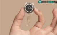 Ảnh Thiết bị não-máy tính của Neuralink gặp phải trục trặc sau 4 tháng cấy ghép cho bệnh nhân
