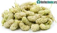 Ảnh Việt Nam có một loại cây quý rất giàu vitamin C, giúp kiểm soát được đường huyết, dưỡng gan hiệu quả