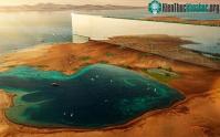 Ảnh Tòa nhà thông minh chọc trời dài 170km ở Arab Saudi có thể phải thay đổi vì loài chim