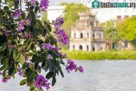 Ảnh Vì sao cuối tháng 5, thời tiết miền Bắc lại vẫn mát mẻ như cuối Xuân?