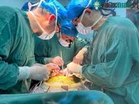 Ảnh Lần đầu tiên ghép thành công gan lợn cho người sống