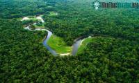 Ảnh Nơi xảy ra nhiều động vật nhất hành tinh