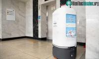 Ảnh Robot công vụ Hàn Quốc bất ngờ lao xuống cầu thang "tự sát"