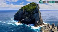 Ảnh Nhiệt độ nước biển xung quanh New Zealand cao nhất kể từ năm 1982