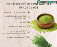 Ảnh Những công dụng tuyệt vời của cỏ lúa mì mà bạn cần biết