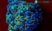 Ảnh Người thứ 7 trên thế giới được chữa khỏi bệnh HIV
