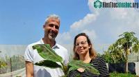 Ảnh Doanh nghiệp Israel chiết xuất đạm từ lá chuối