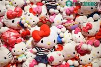 Ảnh Công bố "cú lừa thế kỷ": Hello Kitty không phải mèo