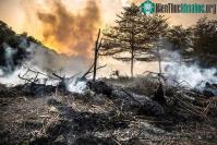 Ảnh AI có thể dự đoán "điểm tới hạn" cho các thảm họa thảm khốc trong tương lai