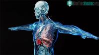 Ảnh Bước tiến đột phá mới trong dự án xây dựng bản đồ tế bào con người