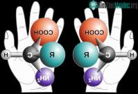 Ảnh NASA đã tìm thấy ra một biến dạng RNA có thể xác định lại câu chuyện nguồn gốc của sự sống