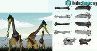 Ảnh Quái vật bay chưa từng được ghi nhận lộ diện ở Nhật Bản