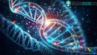 Ảnh “Gene tối” ẩn trong DNA con người lần đầu được hé lộ