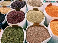 Ảnh Vì sao chăm sóc hệ vi sinh vật lại quan trọng nếu chúng ta muốn sống đến 100 tuổi
