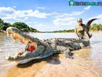 Ảnh Vì sao lại có 12.000 con cá sấu sông Nile sinh sống trong hồ ở giữa sa mạc?