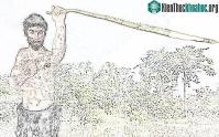 Ảnh Tại sao phần lớn loài người thuận tay phải?