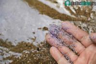 Ảnh Chế tạo thành công loại vật liệu giá rẻ giúp loại bỏ 99,8% vi nhựa ra khỏi nước
