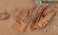 Ảnh Nhật ký cổ đại tiết lộ quá trình xây Đại kim tự tháp Giza