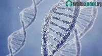 Ảnh Sự thật đáng sợ về cận huyết: Lời nguyền về gene, tuyến phòng thủ cuối cùng của tự nhiên!
