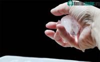 Ảnh Vì sao đá lạnh có thể dính vào tay khi cầm?
