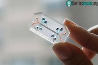 Ảnh Vì sao con chip lại là một trong những thứ khó sản xuất thế thế giới?