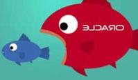 Ảnh Oracle lại lăm le nuốt MySQL