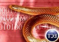 Ảnh Cuộc tấn công của sâu IM tự động là điều khó tránh