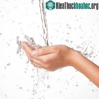 Ảnh Lí giải nguyên do chúng ta cảm thấy vật gì đó ướt