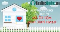 Ảnh Khía cạnh tâm lý học để một gia đình hạnh phúc hơn