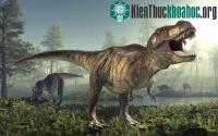 Ảnh Con người có thể đánh bật được khủng long bạo chúa?