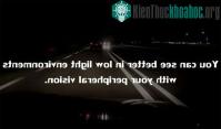 Ảnh Khám phá đáng kinh ngạc về cơ thể người