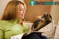 Ảnh Giải mã: Những điều chưa ai biết về loài mèo