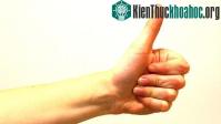 Ảnh Bí kíp "kích thích não bộ" giúp bạn làm việc hiệu quả hơn