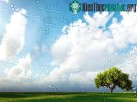 Ảnh Lời giải khoa học cho hiện tượng "ruồi bay trước mắt"