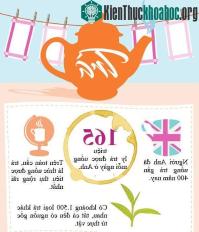 Ảnh Sự thật thú vị về trà
