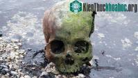 Ảnh Giải mã bí ẩn hộp sọ trẻ em rải đầy quanh hồ ở Thụy Sĩ