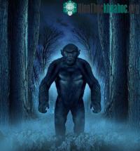 Ảnh Bí ẩn về dã nhân Bigfoot được làm sáng tỏ