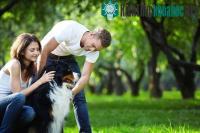 Ảnh Nghiên cứu cho thấy tính cách "khó ưa" ở những người yêu chó