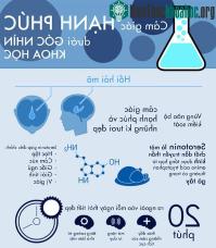 Ảnh Cảm giác hạnh phúc dưới góc nhìn khoa học