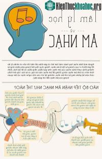 Ảnh Tâm lý học về âm nhạc