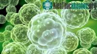 Ảnh Sự sống có trước khi Trái đất hình thành 5,5 tỷ năm