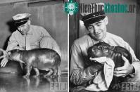 Ảnh Những thú cưng đặc biệt từng được nuôi trong Nhà Trắng