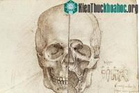 Ảnh Sổ tay ghi nhớ của Leonardo Da Vinci