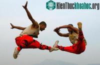 Ảnh Bàn tay người tiến hóa để giao chiến